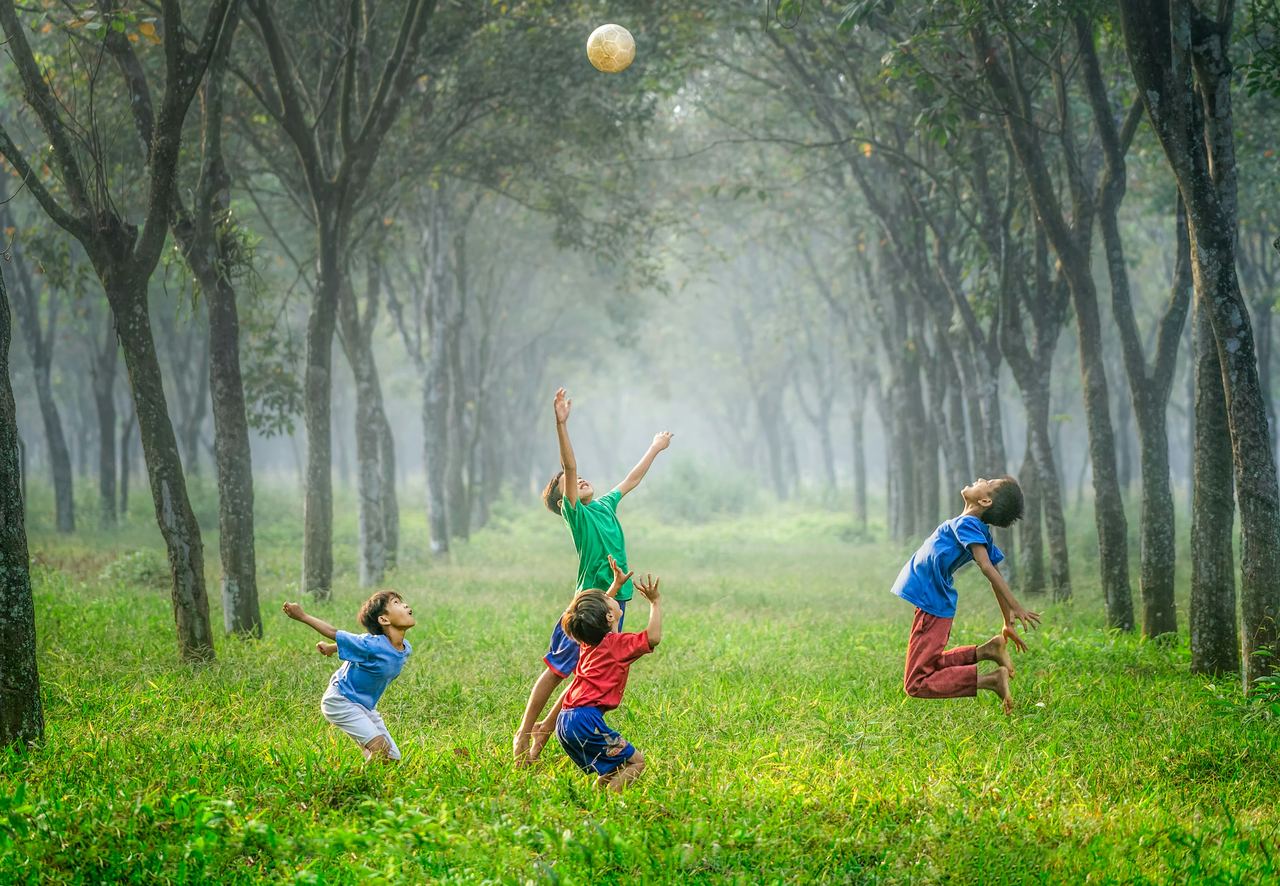 Children playing in a sunlit forest